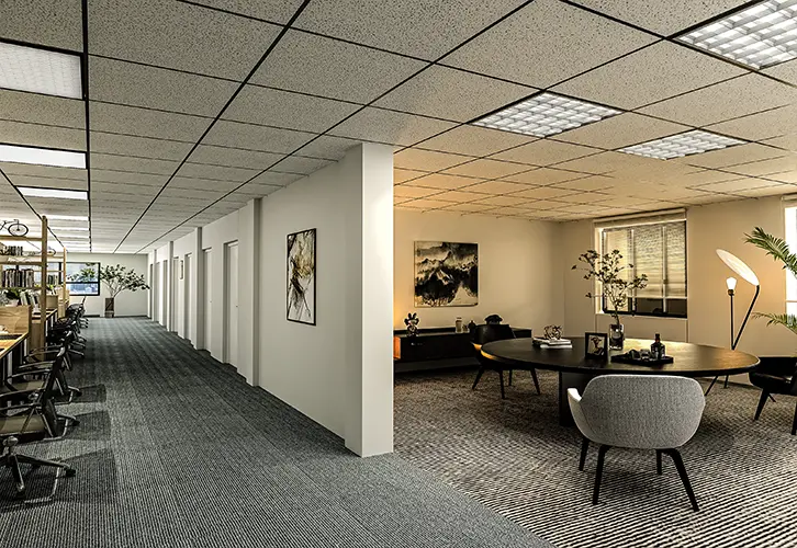 Aerial and Master Plan Visualization